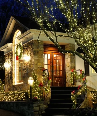 Washington Christmas Lighting (Coming Soon)